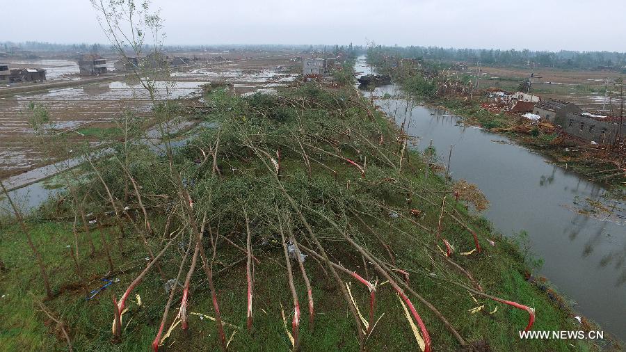 ?????? ????? ????? ??????? ?????? ????? ?? ????? ??? 98