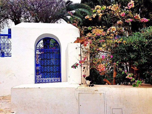 ??? ??????..???? ???? ?????? ?????? ?????? ????????? ????????