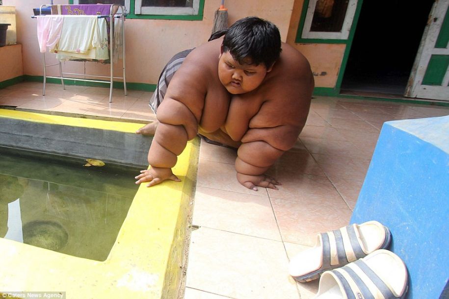 ???? ??? ?? ??????... ???? 192 ???