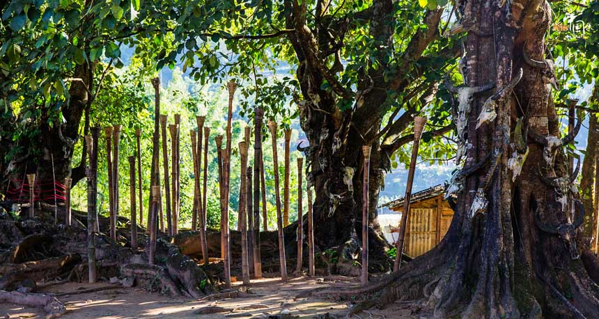 ???? ??? ?????  ???? ??????? ?? ?????