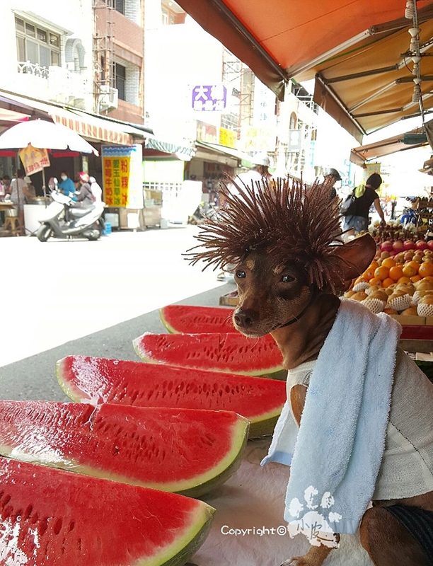 ??? ???? ??????? ????????? ???? ??????? ??????