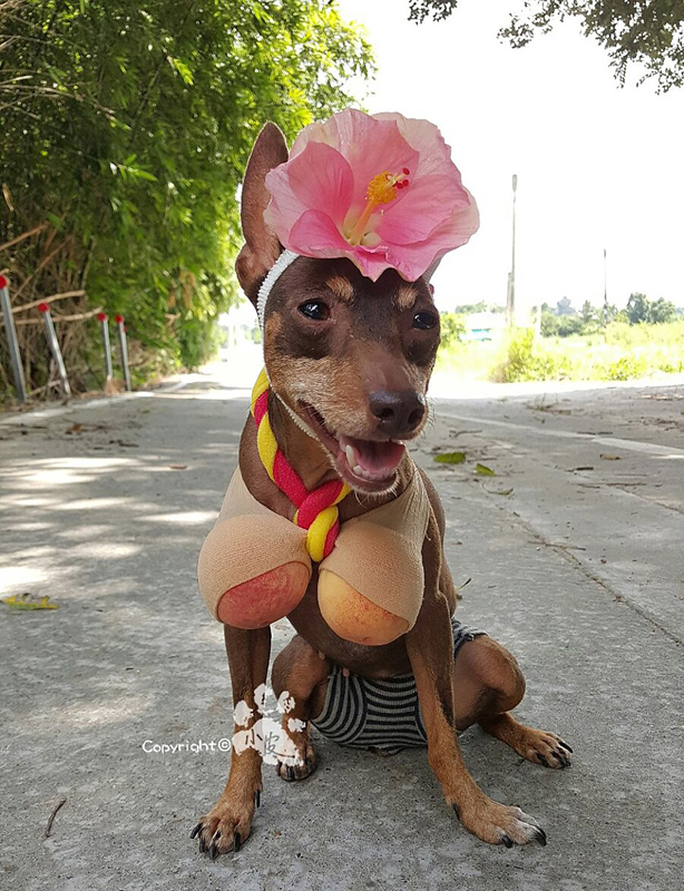 ??? ???? ??????? ????????? ???? ??????? ??????