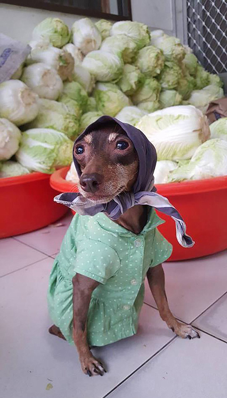 ??? ???? ??????? ????????? ???? ??????? ??????