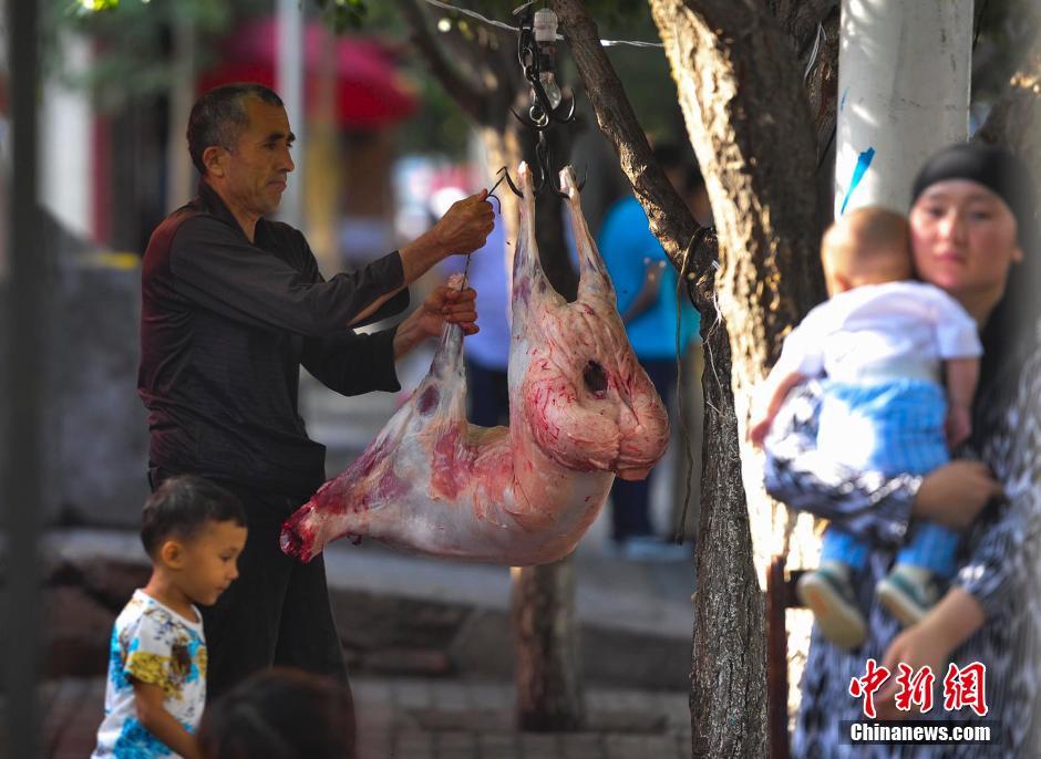 ???????? ???????? ??????? ???? ????? ???????