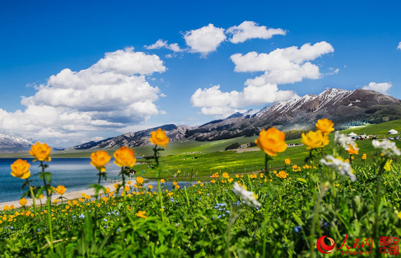 ????? ????? ???? ???????? ?? ????????