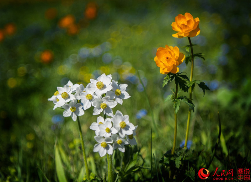 ????? ????? ???? ???????? ?? ????????