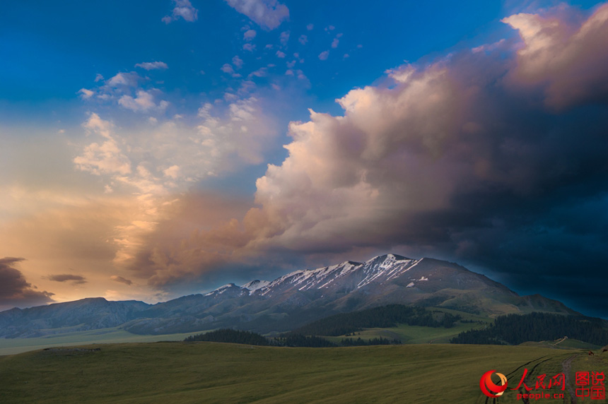 ????? ????? ???? ???????? ?? ????????