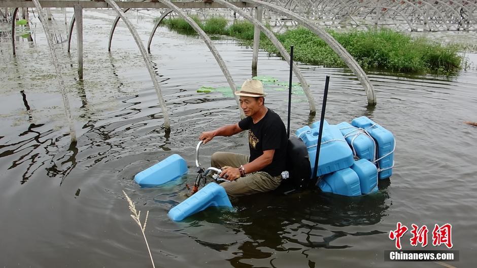 ???? ???? ????? ????? ???????