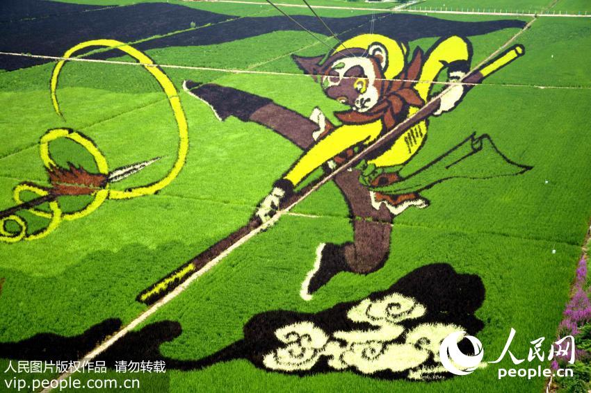 ????? ?????? ??????? ??? ???? ????? ???????