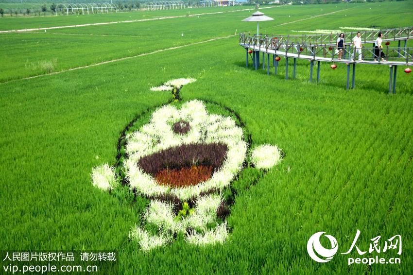 ????? ?????? ??????? ??? ???? ????? ???????