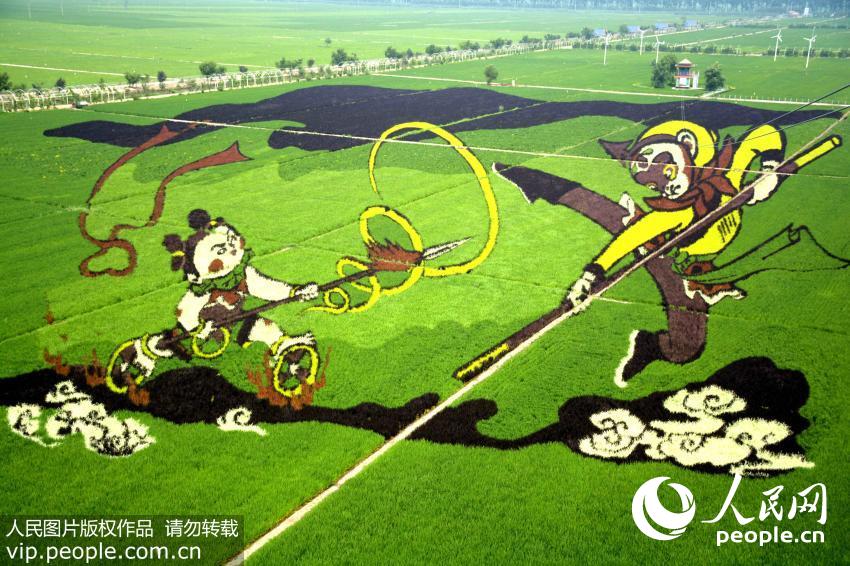 ????? ?????? ??????? ??? ???? ????? ???????