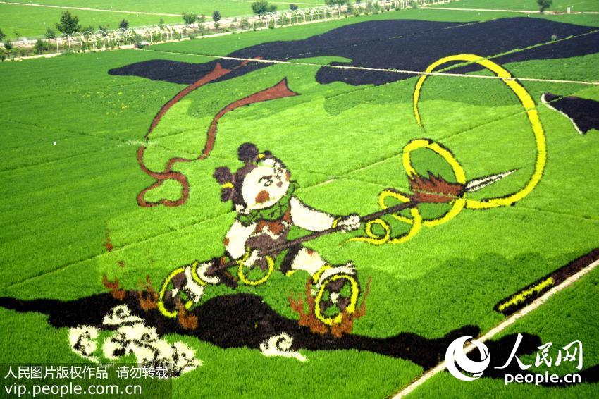 ????? ?????? ??????? ??? ???? ????? ???????