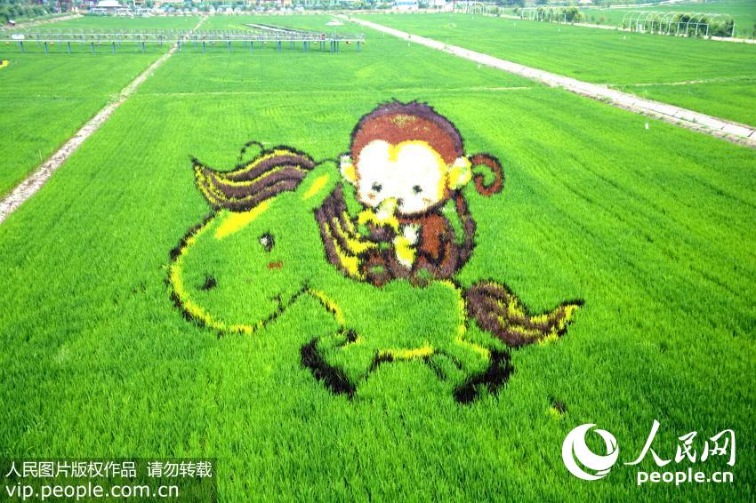 ????? ?????? ??????? ??? ???? ????? ???????