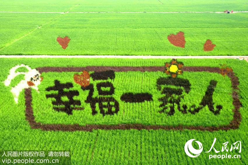 ????? ?????? ??????? ??? ???? ????? ???????