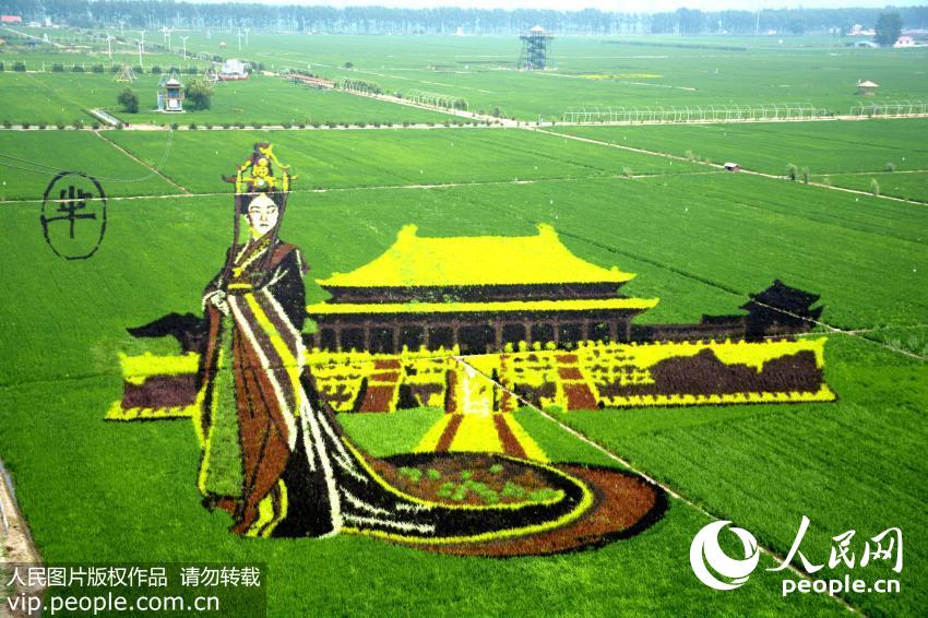 ????? ?????? ??????? ??? ???? ????? ???????