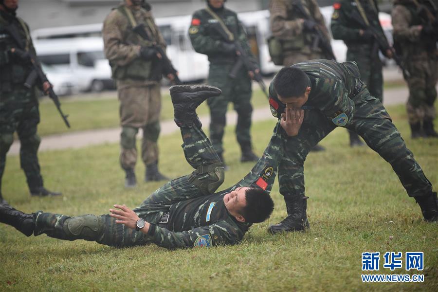 ?????? ????????? ???????? ??? ????? ?????? ??????? ???????