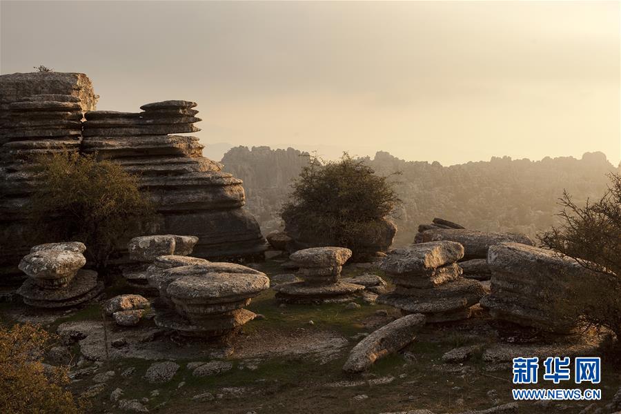 ????? 12 ????? ????? ??? ????? ?????? ???????