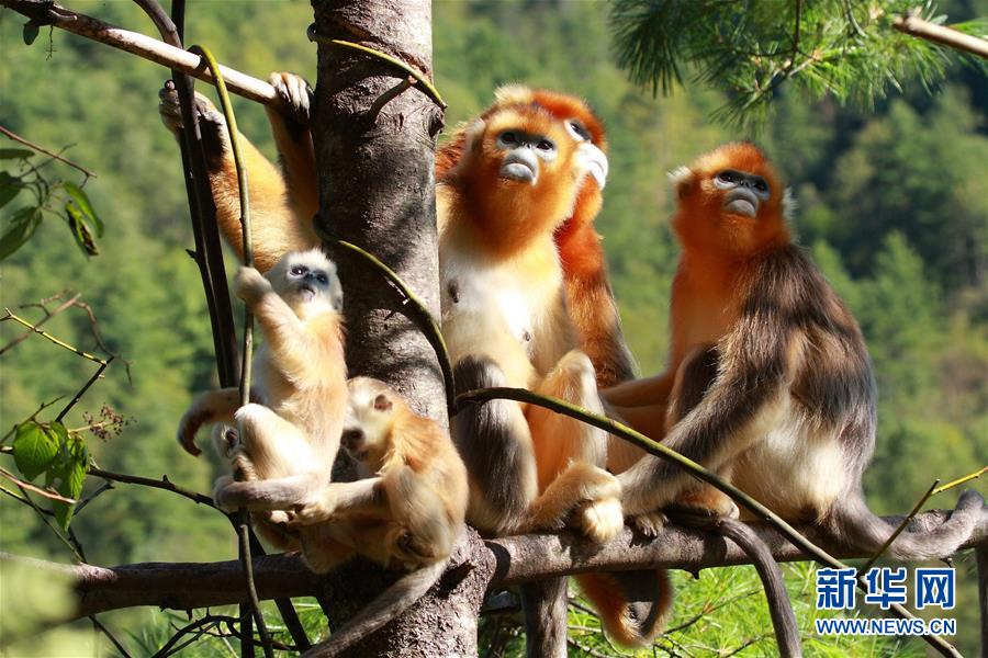 ????? ????????? ?? ???? ?????? ?????? ???????