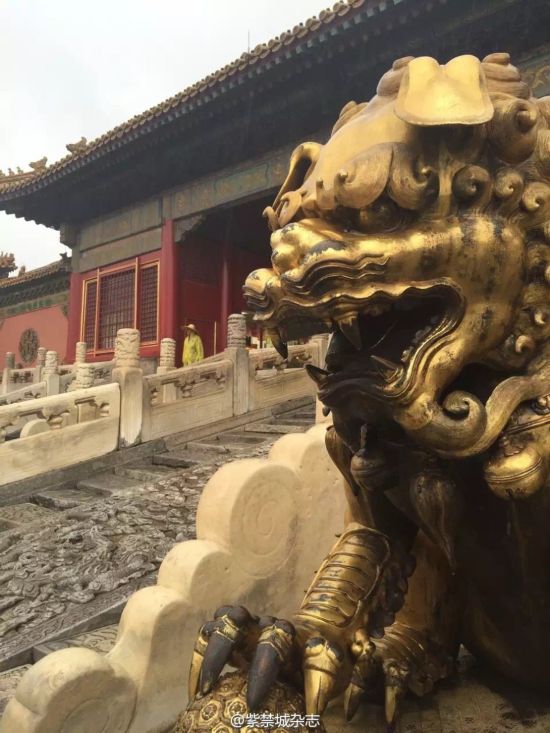 ???? ????? ?? ????? ??????????? ??? ???? ???????? ???? ???