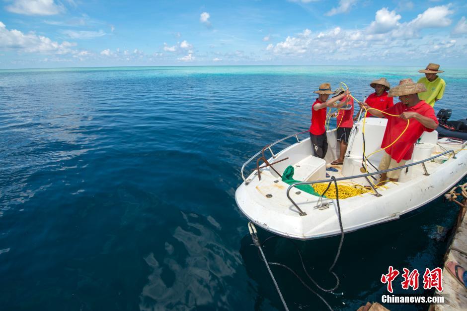 ???? ???? ????? ?? ?????? ??????