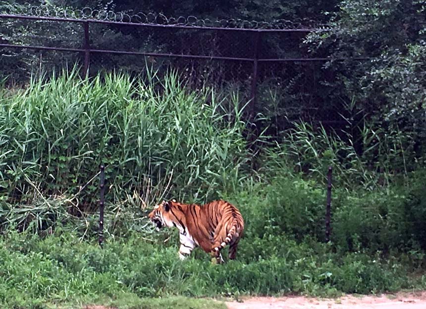 ????? ?? ????? ???????? ????????? ?????? ????????  ???? ???? ???? ????? ???? ???????? ??????