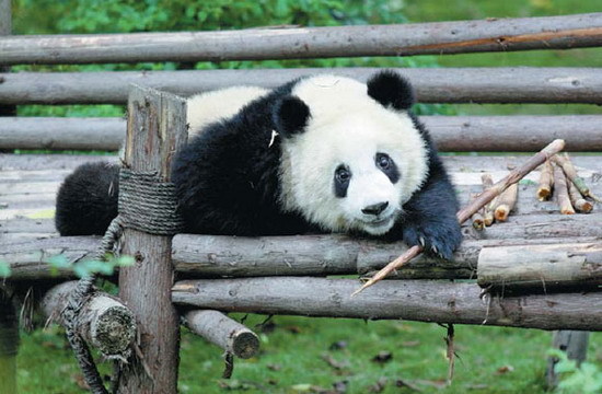 10 ????? ?? ????? ??????? ?? ?????