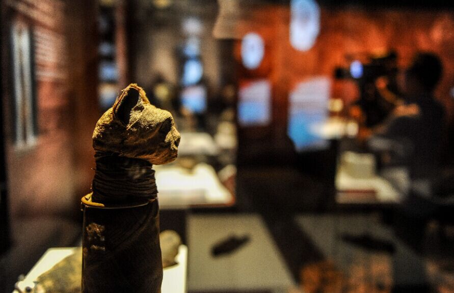 ???? ?? ????? ???? ????? ????? ???? ???????? ?? ?????