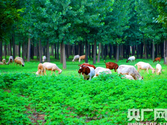 ?????? ??? ?????? ??????? ???? ??? ???? ???????? ?? ?????  