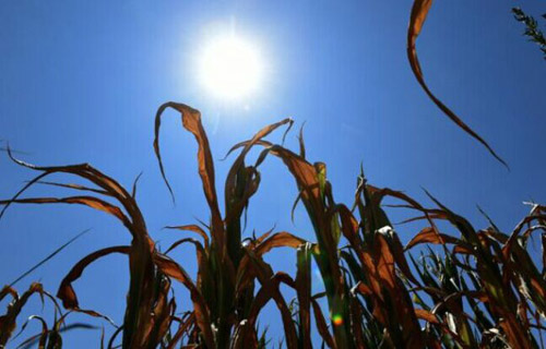 ??? 2016 ?? ???? ?????? ??? ??? ??? ????? ??????? ?? 1880