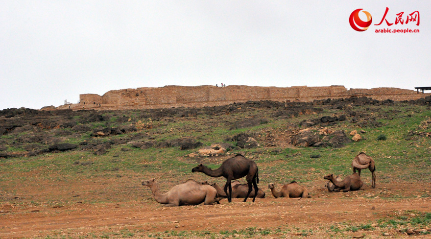 ????? ????? ????? --- ????? ??? ??????? ???????