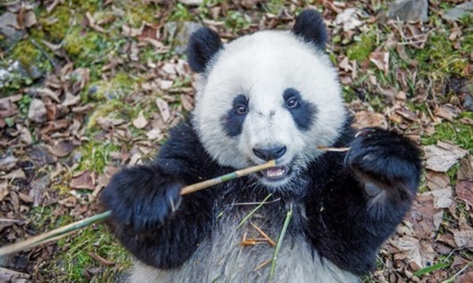 ????? ????? ?? ???? ????? ??????? ????? ???? ????????? ?? ??????