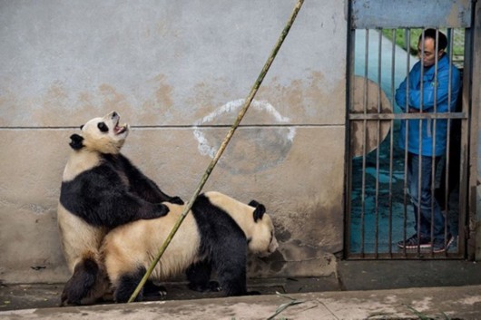 ????? ????? ?? ???? ????? ??????? ????? ???? ????????? ?? ??????