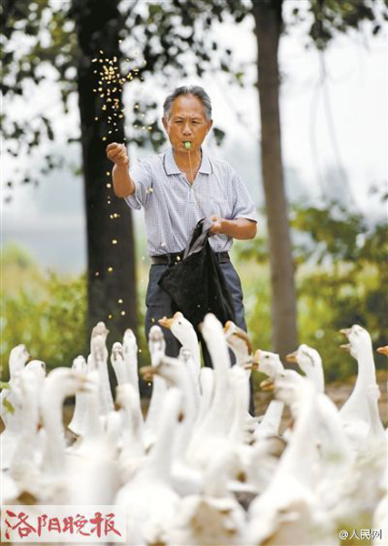 ??? ???? ?? ????? 71 ???? ???? ????? ??? ????????