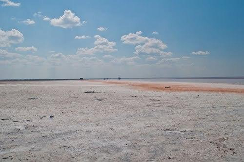 ????? ?? ????? ????? ??? ?????? ??? ?????? ?? ?????