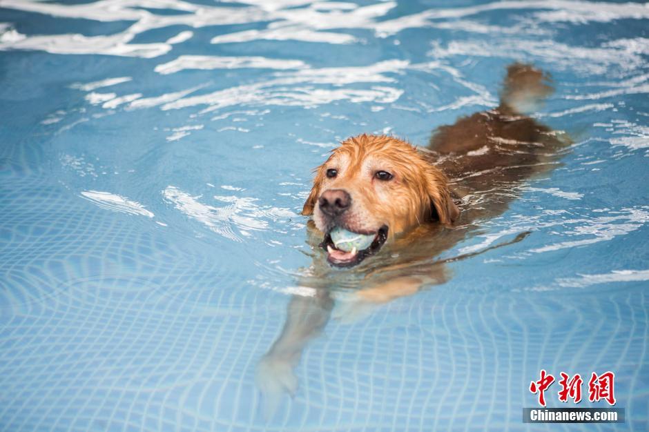 ????? ???? ??? ??? ????? ????????? ??????? ?? ??????