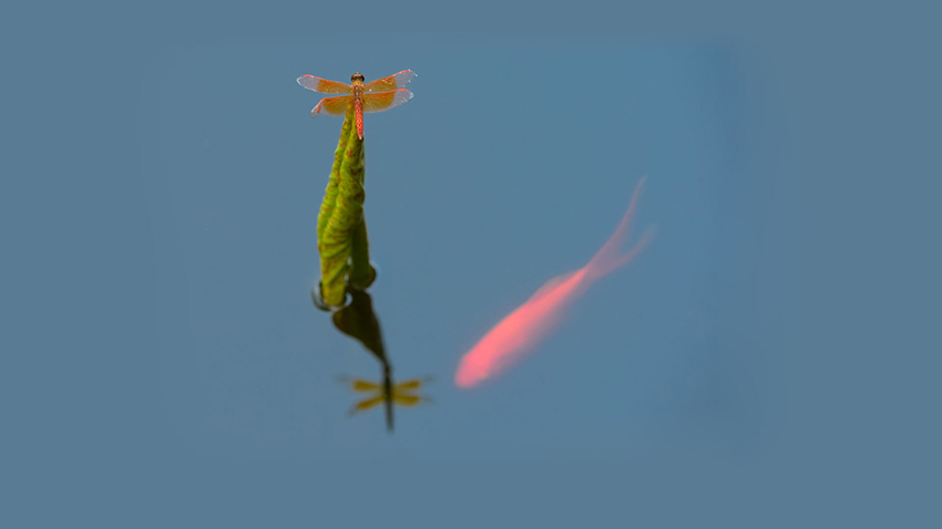 ??????? ??????? ... ????? ????? ???? ????? ???????