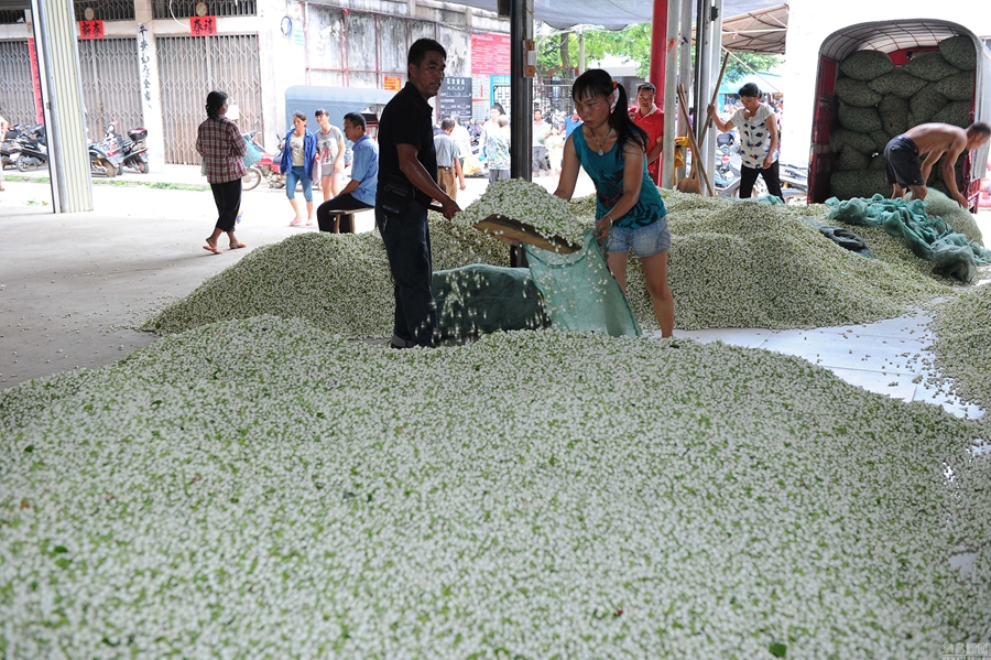 ???? ??? ???? ????? ?????? ?? ????? ???????