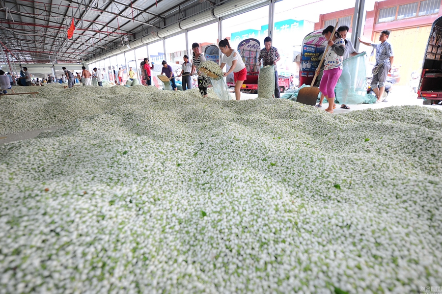 ???? ??? ???? ????? ?????? ?? ????? ???????