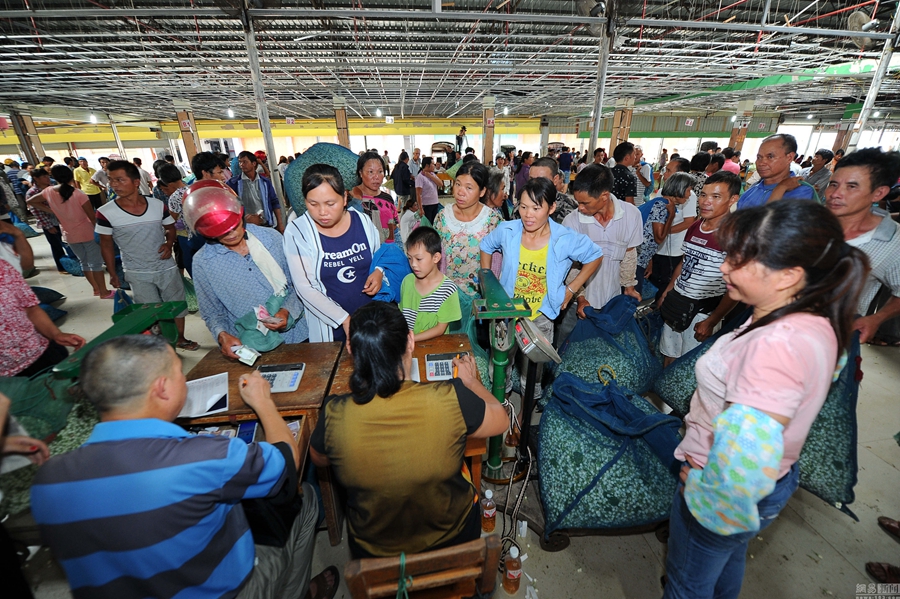 ???? ??? ???? ????? ?????? ?? ????? ???????