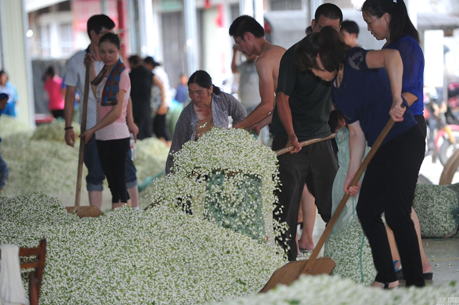 ???? ??? ???? ????? ?????? ?? ????? ???????