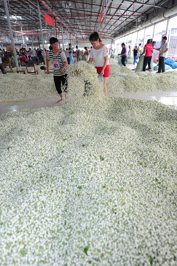 ???? ??? ???? ????? ?????? ?? ????? ???????