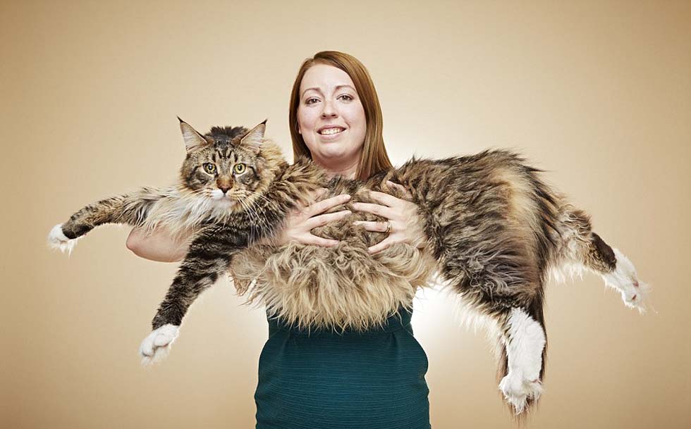 ??????? ???????? ??????? ?? ?????? ????? ??? 2017