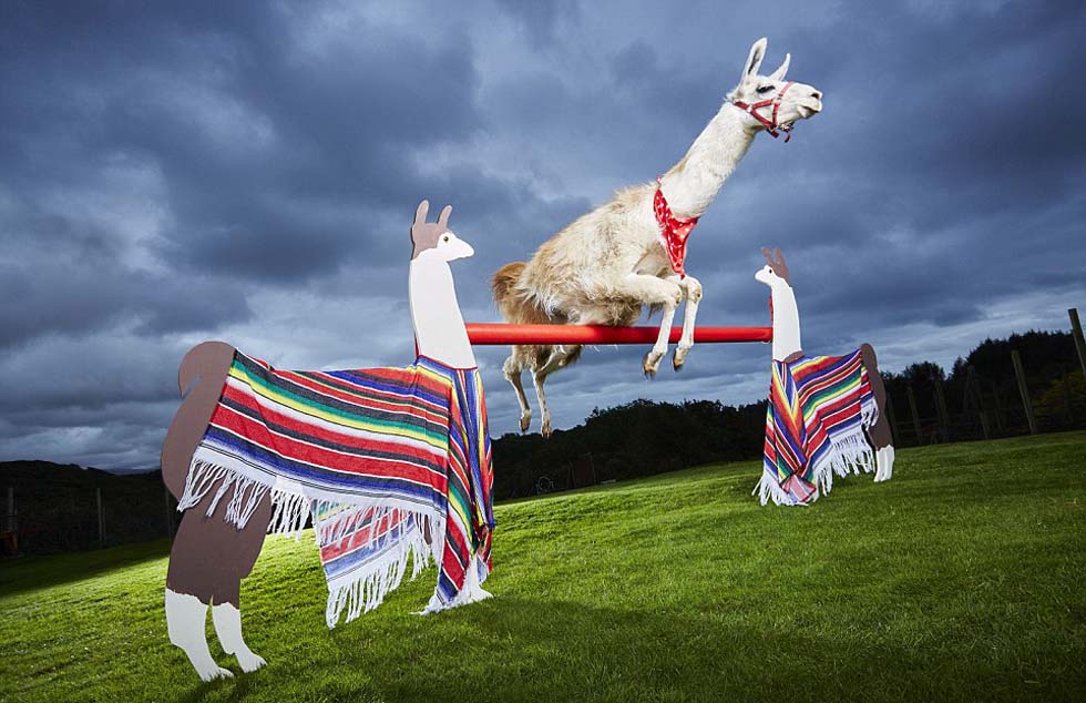 ??????? ???????? ??????? ?? ?????? ????? ??? 2017