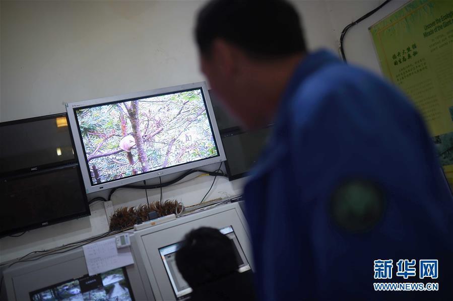 ??????: ?????? ??????? ????? ?????? ????????