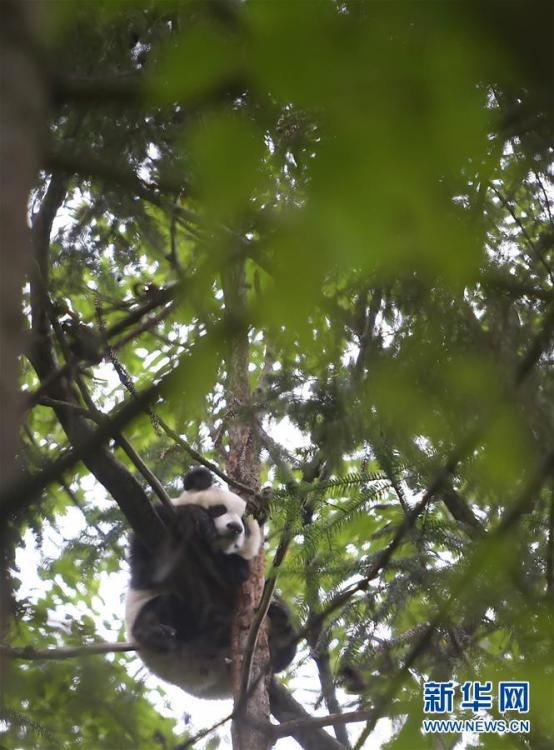 ??????: ?????? ??????? ????? ?????? ????????