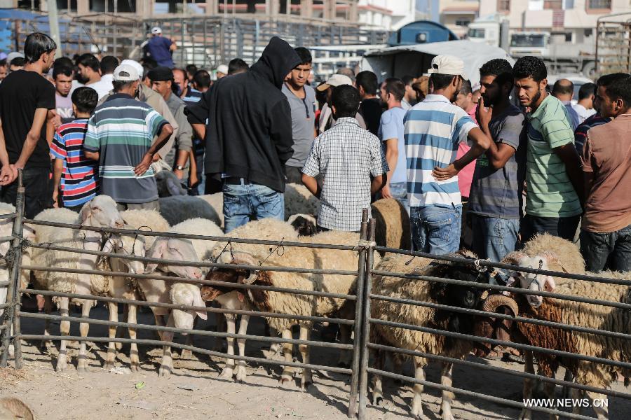 ????? ??????: ???? ??????? ???????? ?????? ????? ?? ???? ??? ?????? ????????