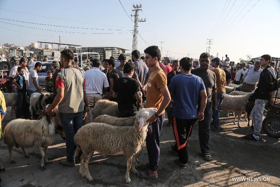 ????? ??????: ???? ??????? ???????? ?????? ????? ?? ???? ??? ?????? ????????