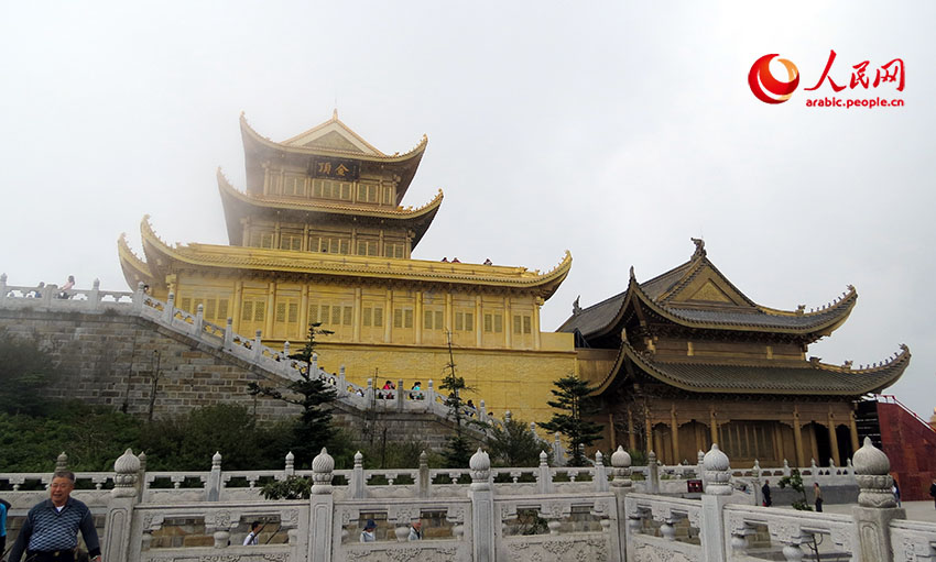 ???? ????: ??? ?????? ??? ??? ??? ??????? ??????