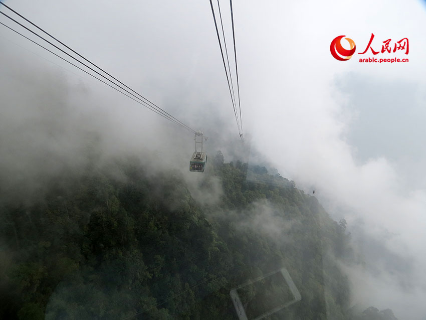 ???? ????: ??? ?????? ??? ??? ??? ??????? ??????