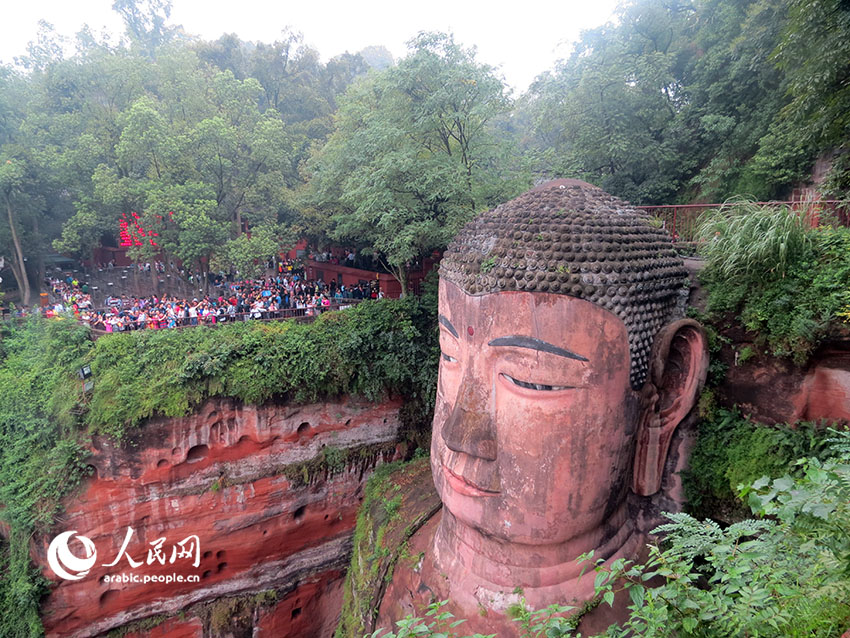 ???? ????: ??? ?????? ??? ??? ??? ??????? ??????